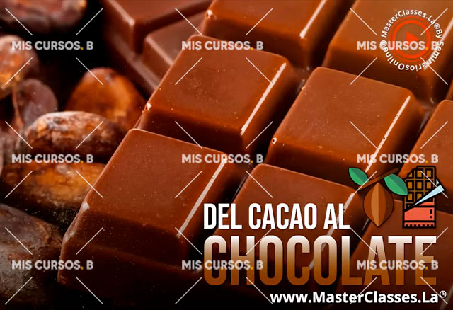 del cacao al chocolate fabrica tus chocolates y crea tu propia