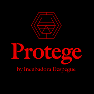 Incubadora Despegue